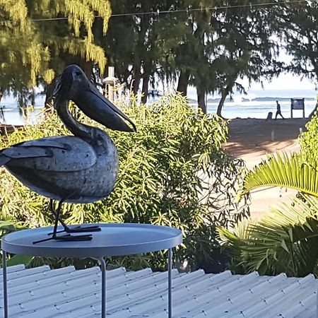 Le Pelican ليرميتاج ليس بينس المظهر الخارجي الصورة