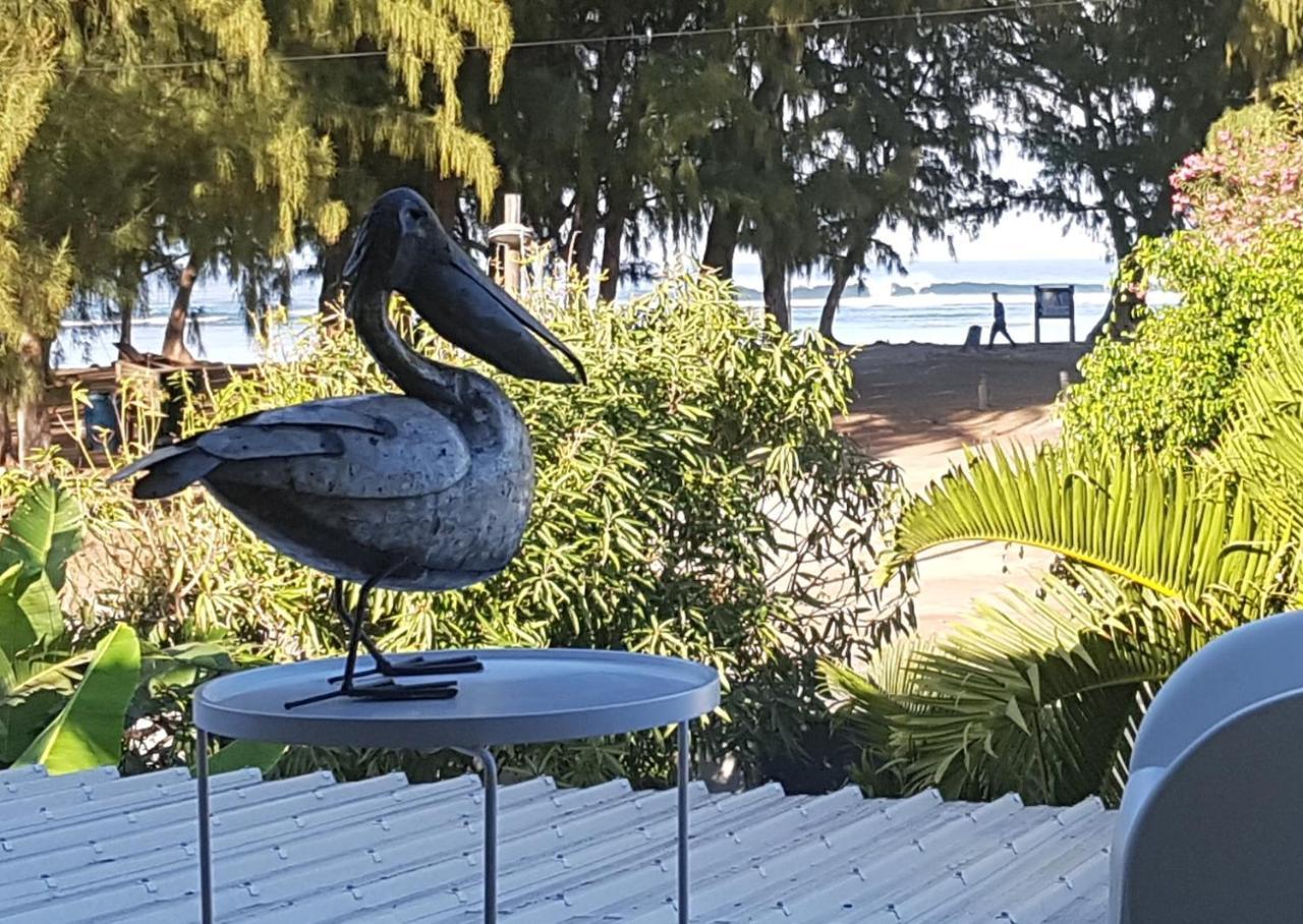 Le Pelican ليرميتاج ليس بينس المظهر الخارجي الصورة
